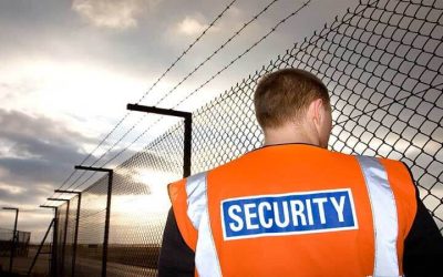 4 Times to Hire a Security Agency In California for VIP Protection