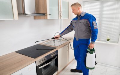 Keep Your Family Safe With Proven Pest Control Services Fort Myers, FL Locals Rely On