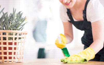Keep Your Home Immaculate with Cleaning Services In San Antonio, TX for Stress-Free Living