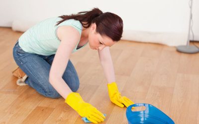The Benefits You Gain From Regular House Cleaning Tampa FL Professionals