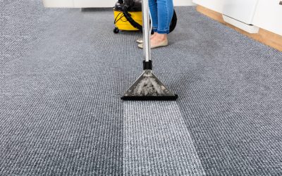 What Sets a Reliable Carpet Cleaning Company Near Oregon, WI, Apart