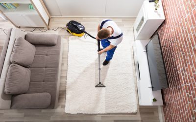 Discover Why Choosing the Best Carpet Cleaning Service in Madison, WI, Matters for Safer, Fresher Homes